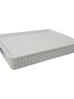 KASSA HOME ตะกร้าพลาสติกอเนกประสงค์ พร้อมฝาปิด รุ่น API-5031-S ขนาด 38 x 27 x 7 ซม. สีเทา