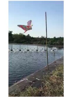 ว่าวนกอินทรีย์นกเหยี่ยว ว่าวไล่นกกันนกทำลายผลผลิต ว่าวไล่นก ว่าวตกแต่งสวนพร้อมจัดส่ง!!