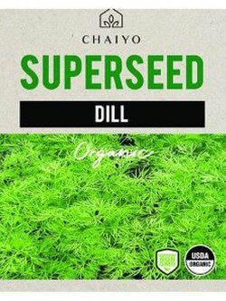 CHAIYO เมล็ดพันธุ์ผักชีลาว 250 เมล็ด อัตราการงอก : 87% และมีความบริสุทธิ์ : 99.5% Super seed Dill