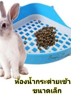 ห้องน้ำกระต่าย ห้องน้ำกระต่ายเข้ามุม ห้องน้ำกระต่ายขนาดเล็ก (เข้ามุมจิ๋ว)