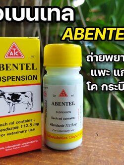 💕ส่งทุกวัน💕🐄🐂🐃🐎 อเบนเทล ABENTEL 30 ml.