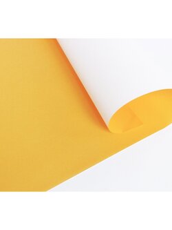 PP-105 สีครีม กระดาษโปสเตอร์สี 1 หน้า หนา60แกรม/แพ็ค 20 แผ่น