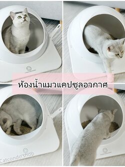 ❤️ห้องน้ำแมว ห้องน้ำแคปซูล กระบะทราย กันกระเด็น❤️