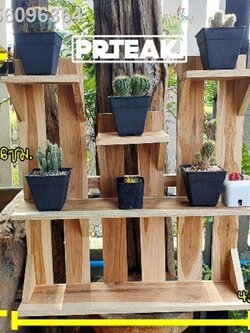 ♧♨✙ชั้นวางไม้สัก สวนแนวตั้ง ชั้นโชว์แคสตัส ตกแต่งสวน ชั้นวางต้นไม้ ตกแต่งร้านค้า สูง46 ซม.