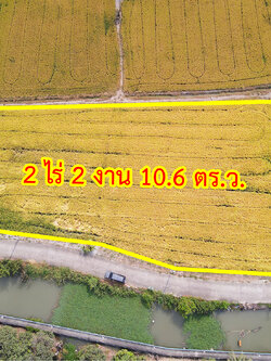 76926-ขายที่ดิน แปลงมุม ถนน 345 บางคูวัด ปทุมธานี