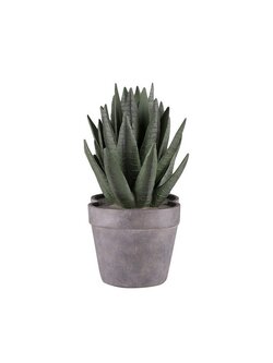 ของขวัญ Decor ของตกแต่ง ALOE 17.2X13 CM เขียว HLS | HOME LIVING STYLE | E6617501