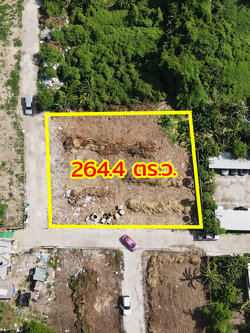 31250-ขายที่ดิน หมู่บ้านชอยรุ่งเรือง ตลาดขวัญ นนทบุรี