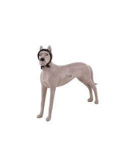 ของขวัญ Decor ของตกแต่ง DOG GLASSES 40.5X36.5CM ขาว HOME LIVING STYLE | HOME LIVING STYLE |