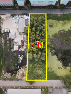 73853-ขายที่ดิน ซอยเทพกุญชร 34 ตลาดไท คลองหลวง ปทุมธานี