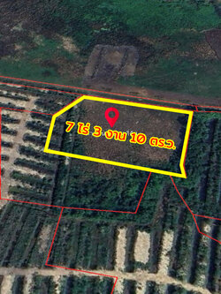 86350-ขายที่ดิน ถนนสุขุมวิท ต.ทุ่งควายกิน อ.แกลง จ.ระยอง