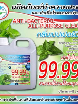 ผลิตภัณฑ์ทำความสะอาดและฆ่าเชื้อโรคอเนกประสงค์ 1 ลิตร
