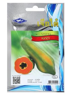 เมล็ดพันธุ์มะละกอแขกดำ เครื่องบิน แข็งแรง ออกรากง่าย