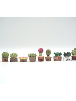 (ตุ๊กตาตกแต่งสวน) กระบองเพชรจิ๋ว มี 12 แบบให้เลือกค่ะ ใครเลี้ยงแล้วตายแนะนำรุ่นนี้ค่ะ ทิ้งขว้างยังไงก็ไม่ตาย