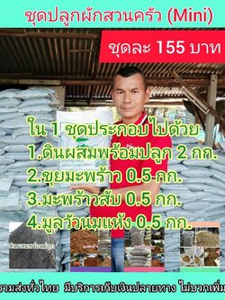 ชุดปลูกผักสวนครัว(Mini)