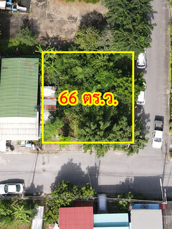 72076-ขายที่ดิน ชุมชนเคหะวัดไพร่ฟ้า บางหลวง ปทุมธานี