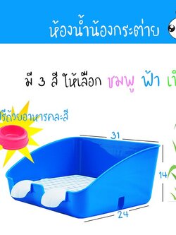 ห้องน้ำกระต่ายขนาดใหญ่ ห้องน้ำกระต่าย ส้วมกระต่าย ห้องน้ำกระต่ายทำความสะอาดง่าย ห้องน้ำกระต่ายไซส์ใหญ่