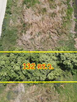 60622-ขายที่ดินราคาถูก ถนนสุวินทวงศ์ มีนบุรี กรุงเทพ