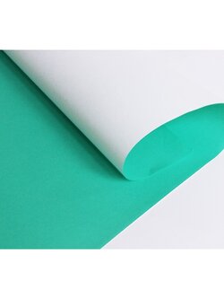 PP-107 สีเขียวอ่อน กระดาษโปสเตอร์สี 1 หน้า หนา60แกรม/แพ็ค 20 แผ่น