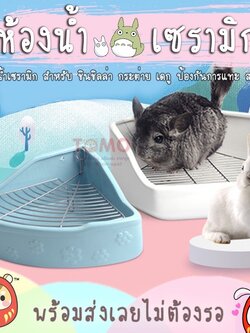 ร้านโทโมะ 💕 ห้องน้ำเซรามิก สำหรับชินชิลล่า กระต่าย เดกู
