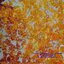 ครอบครัวกวาง ต้นไม้ทอง ครอสติสปักสำเร็จ140x60cm ไม่รวมกรอบ งานฝีมือ DIY