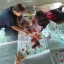 กวาง ครอสติสคริสตัล Diamond painting โมเสก ภาพติดเพชร งานฝีมือ DIY
