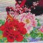 ม้า8ตัว มงคล ครอสติสปักสำเร็จ150x60cm ไม่รวมกรอบ งานฝีมือ DIY