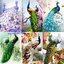 นกคู่ดอกโบตั๋น ชุดปักครอสติช พิมพ์ลาย ครอสติสจีน งานฝีมือ DIY