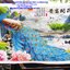 นกยูงคู่ ธรรมชาติ ครอสติสปักสำเร็จ190x80cm ไม่รวมกรอบ งานฝีมือ DIY