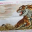 ม้ายูนิคอร์น3D ครอสติสพิมพ์ลาย