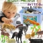โมเดลสัตว์ ในกล่องฝาปิด