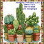 กระบองเพชร ชุดปักครอสติส พิมพ์ลาย ครอสติสจีน งานฝีมือทำที่บ้าน DIY