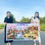ทุ่งดอกทิวลิปขาว ชุดปักครอสติช พิมพ์ลาย ครอสติสจีน งานฝีมือ DIY