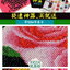 ผี้เสื้อ ครอสติสคริสตัล Diamond painting โมเสก ภาพติดเพชร งานฝีมือ DIY