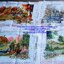 ดอกบัว ปลาคราฟมงคล ชุดปักครอสติช พิมพ์ลาย ครอสติสจีน งานฝีมือ DIY