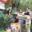 ดอกลิลลี่ ชุดปักครอสติส พิมพ์ลาย ครอสติสจีน งานฝีมือทำที่บ้าน DIY