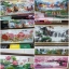 ดอกโบตั๋น ครอสติสคริสตัล Diamond painting โมเสก ภาพติดเพชร งานฝีมือทำที่บ้าน DIY