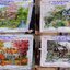 ดอกบัว ปลาคราฟมงคล ชุดปักครอสติช พิมพ์ลาย ครอสติสจีน งานฝีมือ DIY