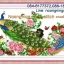 นกยูง ชุดปักครอสติช พิมพ์ลาย ครอสติสจีน งานฝีมือ DIY