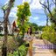 แจกันดอกไม้ สวยงาม ชุดปักครอสติช พิมพ์ลาย ครอสติสจีน งานฝีมือ DIY