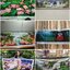 นกกางเขน ชุดปักครอสติส พิมพ์ลาย ครอสติสจีน งานฝีมือทำที่บ้าน DIY