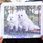 พุดเดิ้ล (Poodle) ครอสติสปักสำเร็จ44x35cm ไม่รวมกรอบ งานฝีมือ DIY