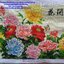 นกนานาพันธ์ ชุดปักครอสติช พิมพ์ลาย ครอสติสจีน งานฝีมือ DIY