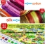 เงินทองไหลมา ชุดปักครอสติช พิมพ์ลาย ครอสติสจีน งานฝีมือ DIY