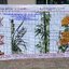 วิถีชนบท ชุดปักครอสติช พิมพ์ลาย ครอสติสจีน งานฝีมือ DIY