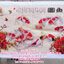 ปลากัดมงคล ชุดปักครอสติส พิมพ์ลาย ครอสติสจีน งานฝีมือทำที่บ้าน DIY