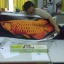 นกยูงคู่ดอกโบตั๋น ครอสติสคริสตัล Diamond painting โมเสก ภาพติดเพชร งานฝีมือทำที่บ้าน DIY